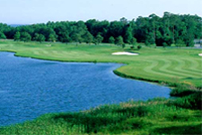 Eagle's Landing GC - overflow 