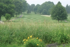 Tanglewood Manor Golf Club 